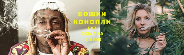 сатива Лабытнанги