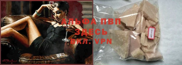 прущие грибы Кукмор