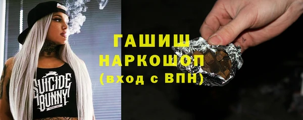 сатива Лабытнанги
