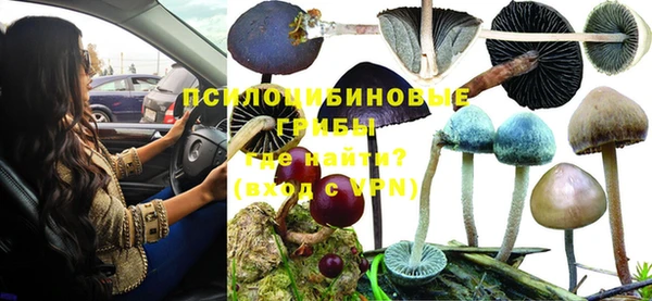 Альфа ПВП Оленегорск