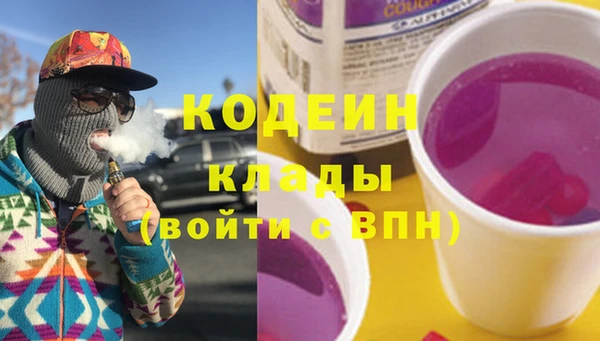 сатива Лабытнанги