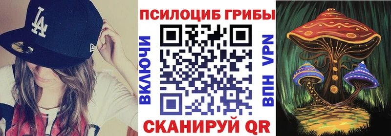 купить наркоту  Старый Крым  Псилоцибиновые грибы Psilocybe 